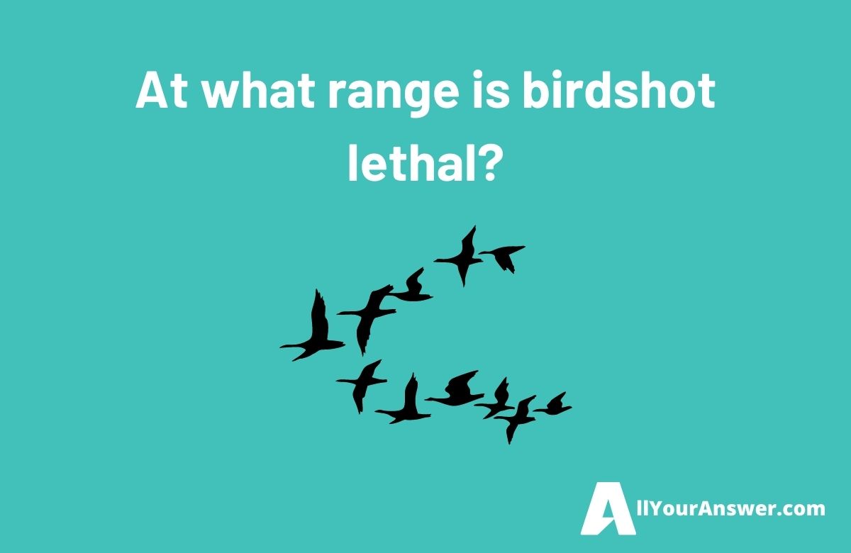 At what range is birdshot lethal
