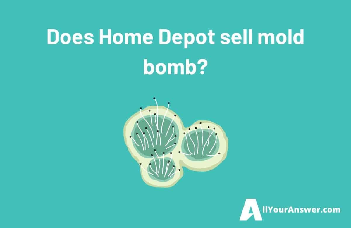 Does Home Depot sell mold bomb