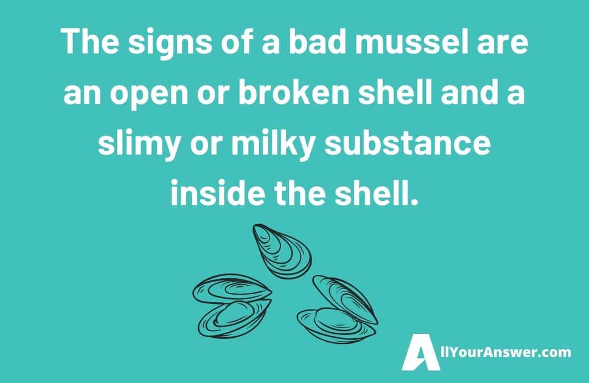 The signs of a bad mussel are an open or broken shell and a slimy or milky substance inside the shell.