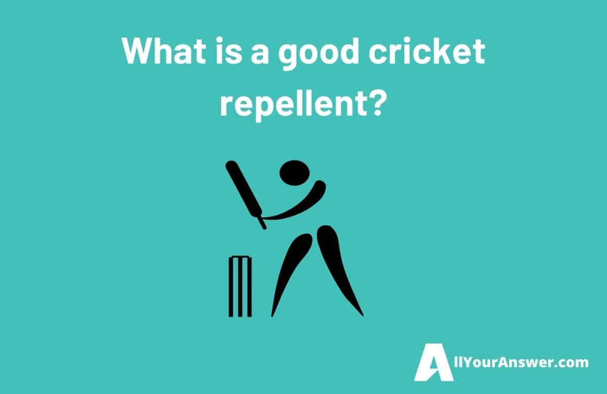 What is a good cricket repellent