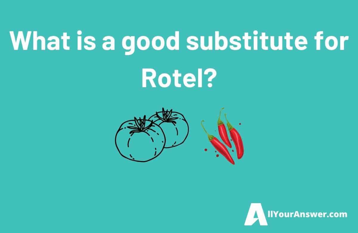 What is a good substitute for Rotel