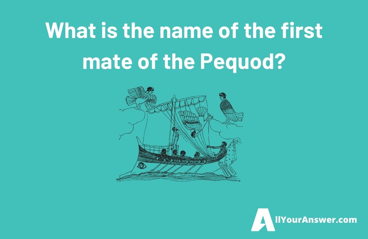 What is the name of the first mate of the Pequod