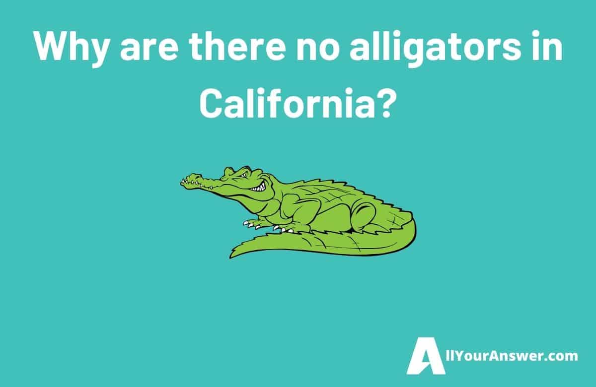 Why are there no alligators in California