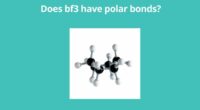 Does bf3 have polar bonds