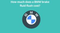 How much does a BMW brake fluid flush cost