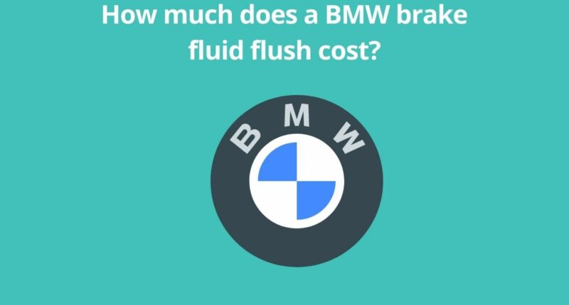 How much does a BMW brake fluid flush cost