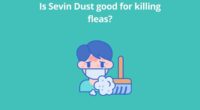 Is Sevin Dust good for killing fleas