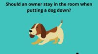 Should an owner stay in the room when putting a dog down