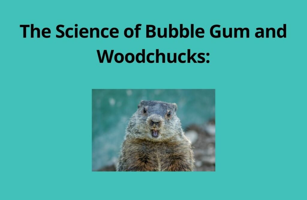 Will bubble gum kill woodchucks? 2 The Science of Bubble Gum and Woodchucks