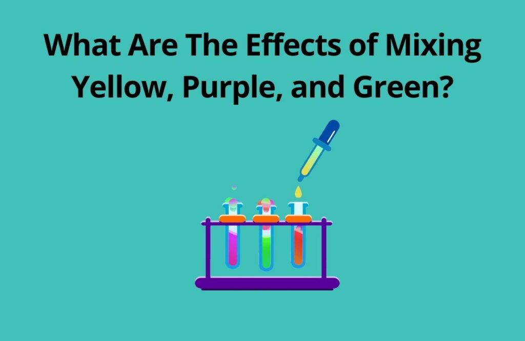 What Are The Effects of Mixing Yellow Purple and Green