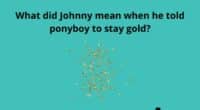 What did Johnny mean when he told ponyboy to stay gold