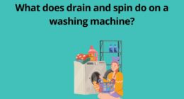 What does drain and spin do on a washing machine