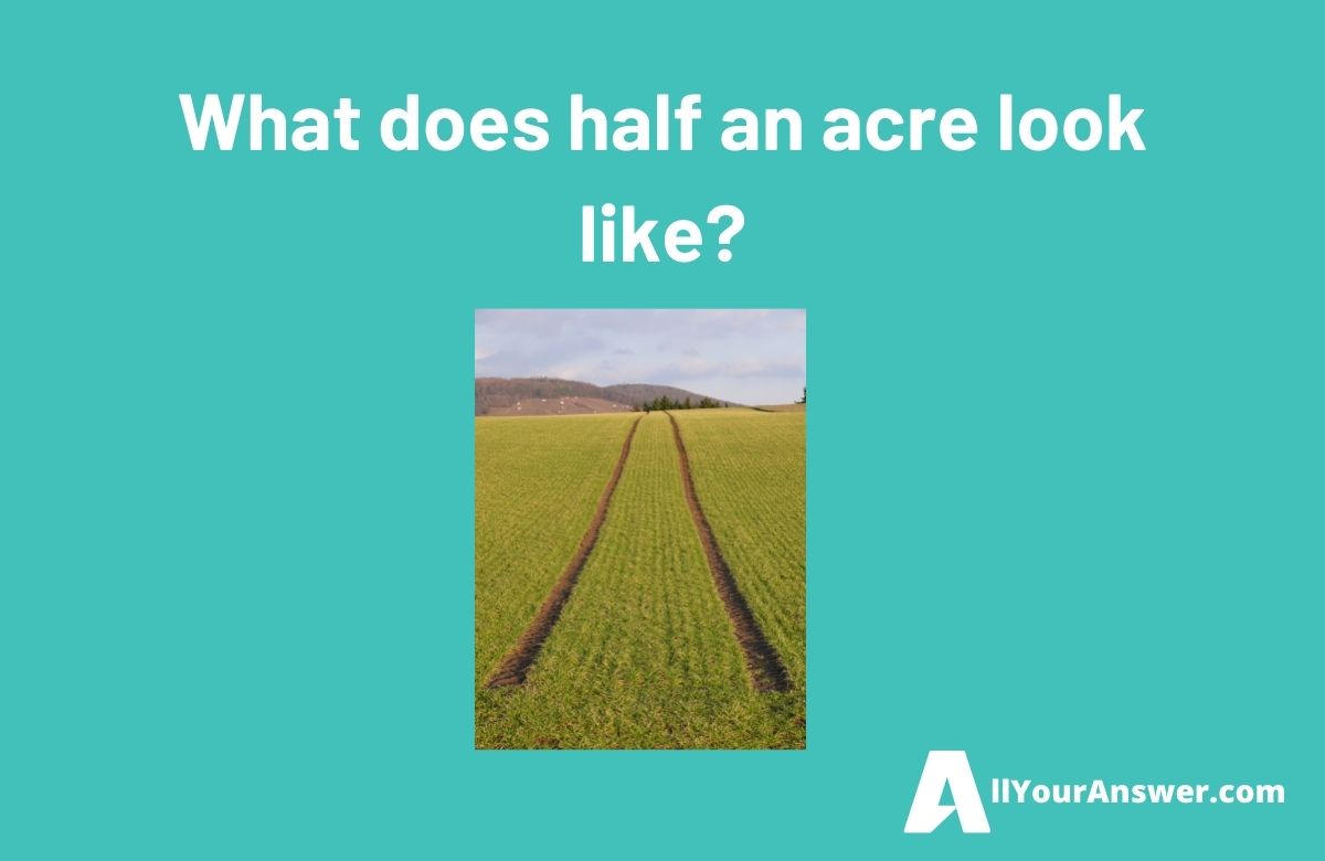 What does half an acre look like