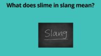 What does slime in slang mean