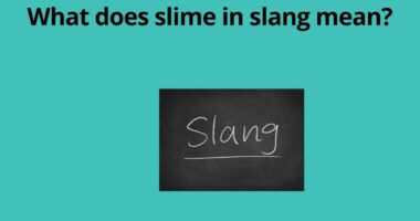 What does slime in slang mean