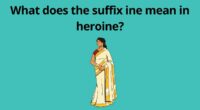 What does the suffix ine mean in heroine