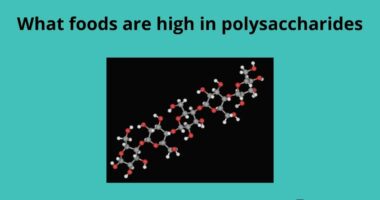 What foods are high in polysaccharides
