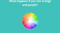 What happens if you mix orange and purple
