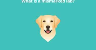 What is a mismarked lab