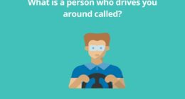 What is a person who drives you around called