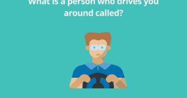 What is a person who drives you around called