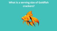 What is a serving size of Goldfish crackers