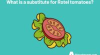 What is a substitute for Rotel tomatoes