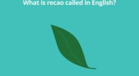 What is recao called in English