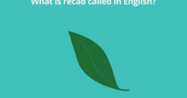 What is recao called in English