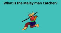 What is the Malay man Catcher
