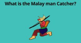 What is the Malay man Catcher