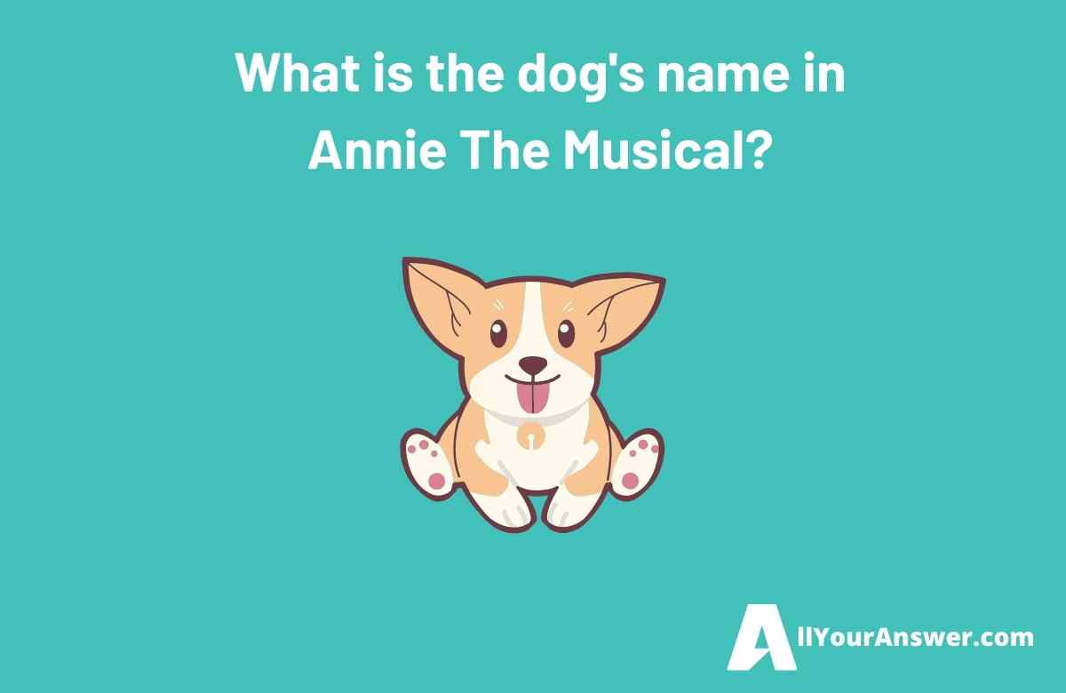 What is the dogs name in Annie The Musical