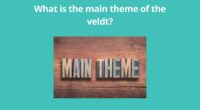 What is the main theme of the veldt