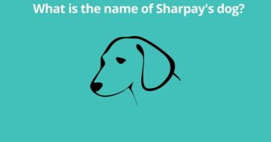 What is the name of Sharpays dog