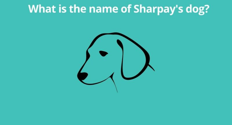 What is the name of Sharpays dog