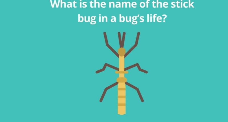 What is the name of the stick bug in a bugs life 1