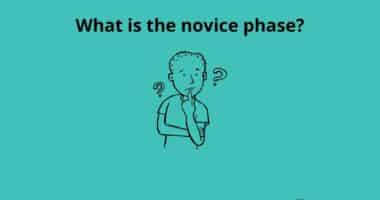 What is the novice phase
