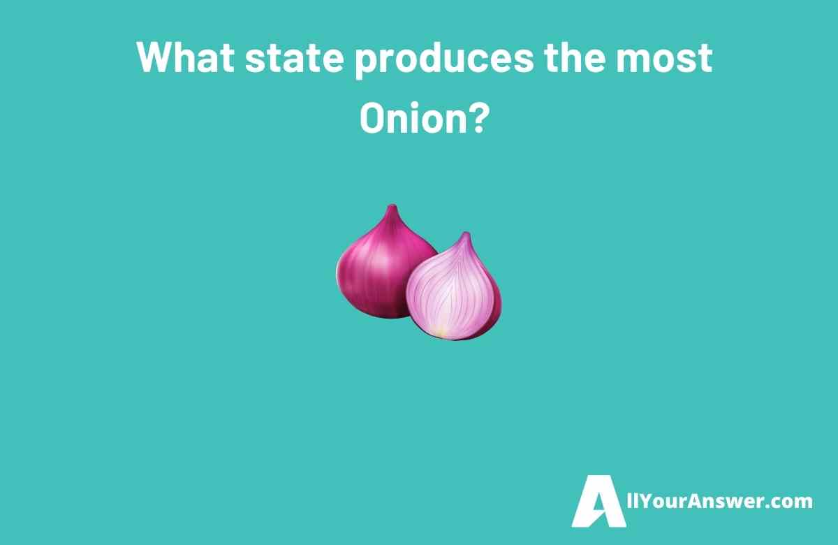What state produces the most Onion