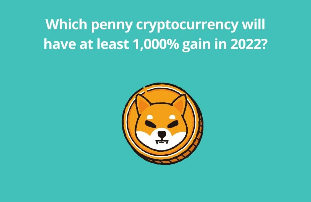 Which penny cryptocurrency will have at least 1000 gain in 2022 1 1
