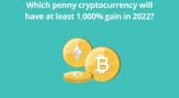 Which penny cryptocurrency will have at least 1000 gain in 2022