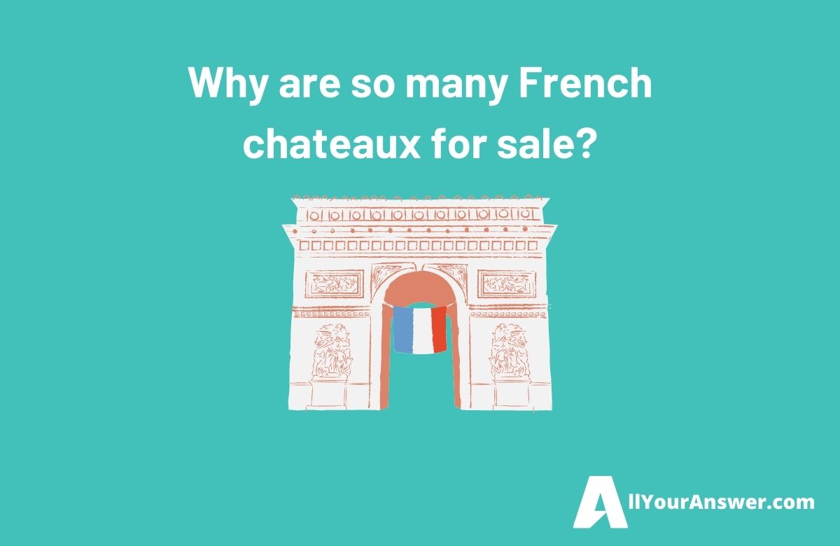 Why are so many French chateaux for sale