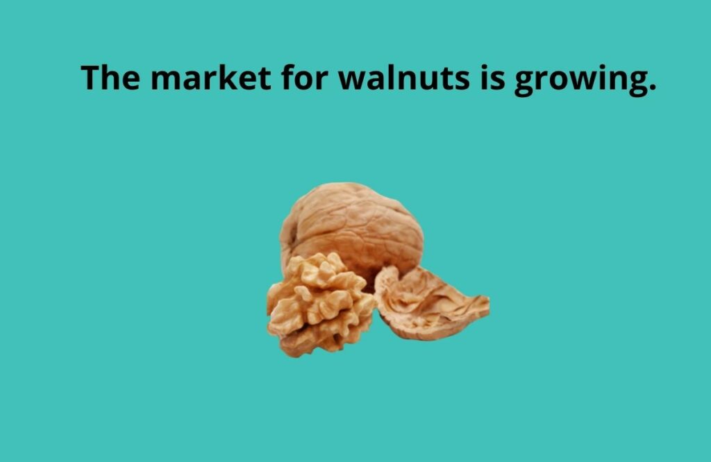 The market for walnuts is growing.
