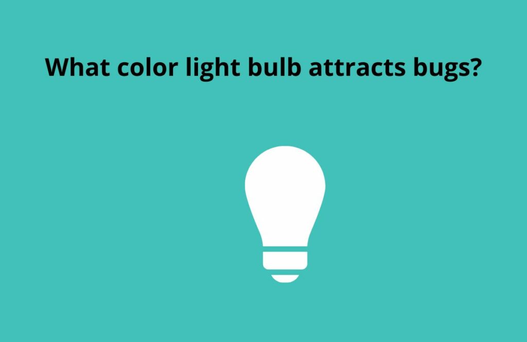 What color light bulb attracts bugs