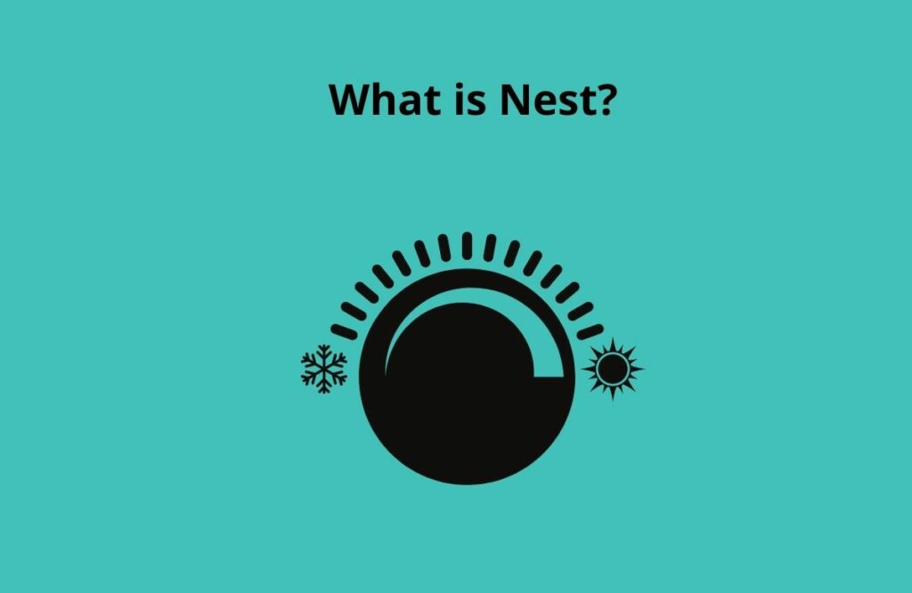 What is Nest