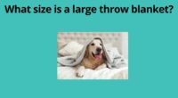 What size is a large throw blanket