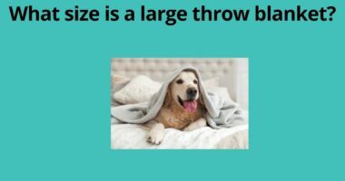 What size is a large throw blanket