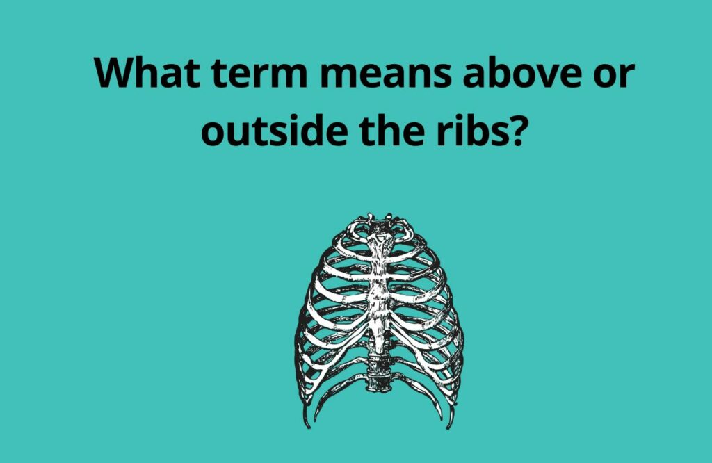 What term means above or outside the ribs 1
