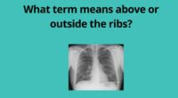 What term means above or outside the ribs