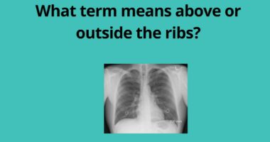 What term means above or outside the ribs