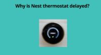 Why is Nest thermostat delayed